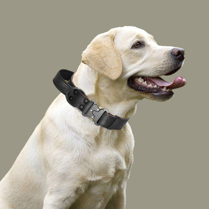 Dog Collar "Lake"